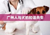 广州，人与犬的和谐共生之道