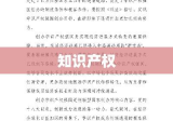 知识产权增资，驱动创新与发展的核心引擎