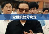 党组织处分决定的依据事实，原则、实践与反思探究