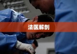 法医解剖，冷酷艺术下的真相揭示之旅