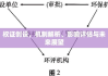 权证创设，机制解析、影响评估与未来展望