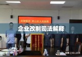 企业改制司法解释，深度解读与实务应用