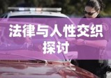 玛莎拉蒂司机下跪背后的道德、法律与人性交织探讨