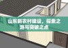 山东新农村建设，探索之路与突破之点