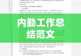 内勤工作总结范文，高效执行与持续改进之路的探索