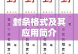 封条格式及其应用简介