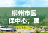 柳州市医保中心，医保服务的中坚力量