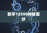 解密数字世界中的宝藏，揭开数字12599的神秘面纱