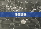 法庭调查，揭示真相的艰巨过程