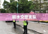 丽水交警支队，城市安全的守护者