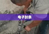 全国首个电子封条，智能监管新时代的里程碑