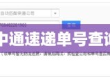 中通速递单号查询难题解析，如何快速解决查询无果问题？