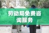 劳动局免费咨询服务，解决民众就业与劳动问题的关键桥梁