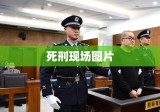 死刑现场图片背后的正义与复杂情感探究