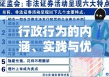 行政行为的内涵、实践与优化策略探讨