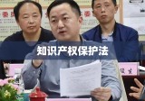 知识产权保护法，构建创新与保护平衡机制的新篇章