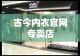 古今内衣官网专卖店，穿越时空的时尚魅力之选