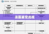 法医鉴定流程全面解析