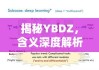 揭秘YBDZ，含义深度解析与背景探究