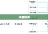 深度解读与解析