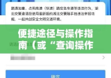 湖南省汽车违章查询，便捷途径与操作指南