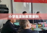 小学生法制教育案例，小明的法律之旅探索