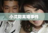 小沈阳离婚事件，娱乐圈的焦点引发深度反思