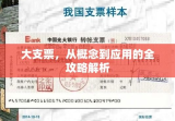 大支票，从概念到应用的全攻略解析