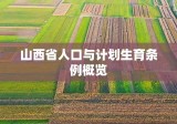 山西省人口与计划生育条例概览