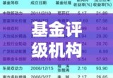 基金评级机构及其在金融市场中的关键角色解析