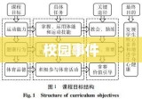 校园事件深度探究，挑战与应对策略