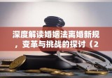 深度解读婚姻法离婚新规，变革与挑战的探讨（2020年）