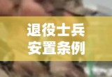 退役士兵安置条例，构建和谐社会不可或缺的一环