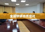 全国供销合作总社，历史沿革、现状剖析与未来展望