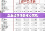 财务报表，揭示企业经济活动核心信息的核心载体