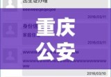 重庆公安交通违章查询，便捷高效服务新体验