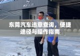 东莞汽车违章查询，便捷途径与操作指南