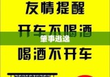 肇事逃逸的判决标准及法律后果详解