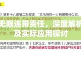 无限连带责任，深度解析及实际应用探讨