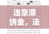 违章滞纳金，法律规章的警示与反思深度探讨