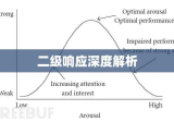 二级响应深度解析，含义与多方影响探讨