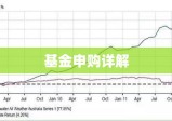 基金申购详解，概念、流程与投资策略解析