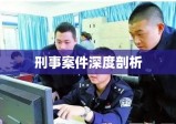 刑事案件深度剖析