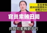 女总裁揭露官员索贿丑闻，揭开黑暗面纱的勇敢举报之路