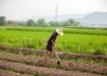 农村土地互换口头协议有用吗