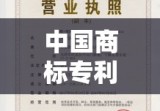 中国商标专利事务所，知识产权保护的领航者探索之旅