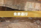 清明节高速公路免费政策解析，是否享受免费通行？