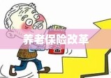 养老保险改革的探索之路与挑战