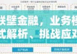 联壁金融，业务模式解析、挑战应对与未来展望