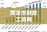 菏泽市财政工资网解读与探索，深度剖析工资系统奥秘